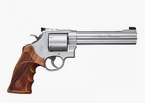 Smith & Wesson 629 Classic Champion