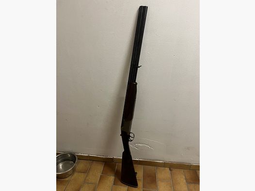 Winchester Grand European