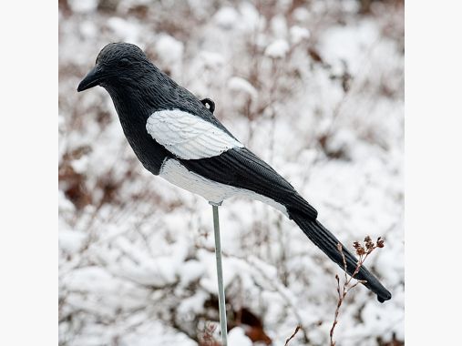 de Lake Passion Elster Decoy |