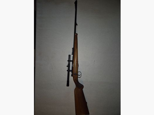 small caliber rifle
