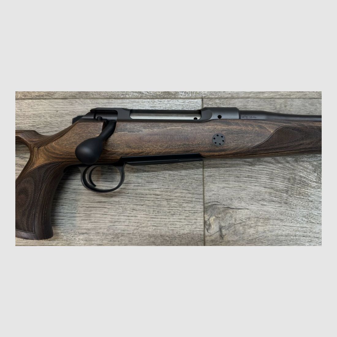 Sauer 101 GTI