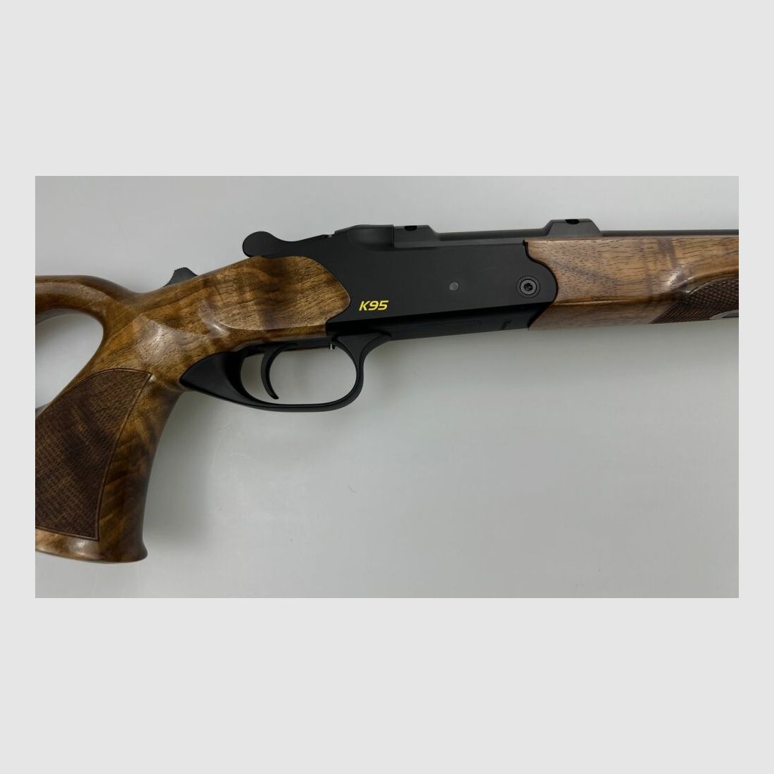 BLASER K95 Success