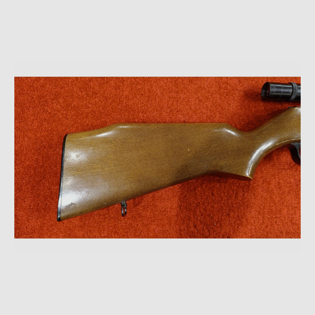 Savage Model 845 .22lr