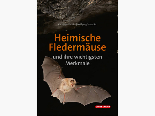 Identification card "Native bats and their most important features"