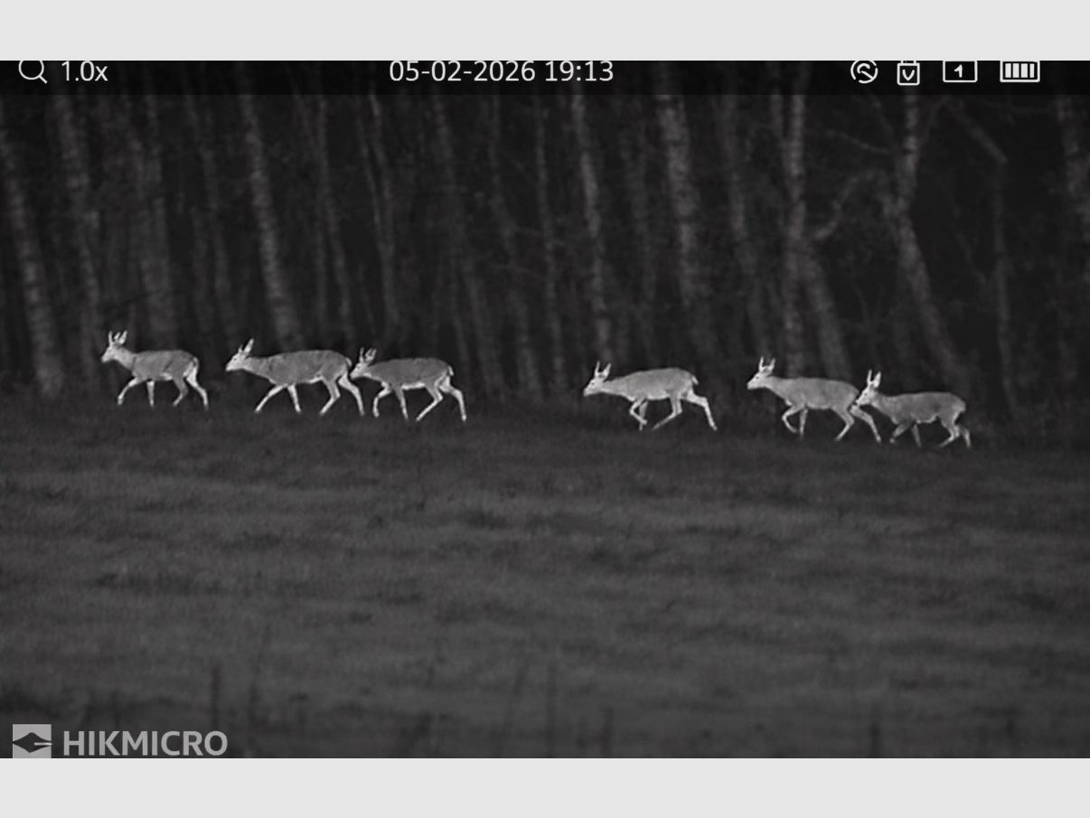 Hikmicro Lynx Pro LH19