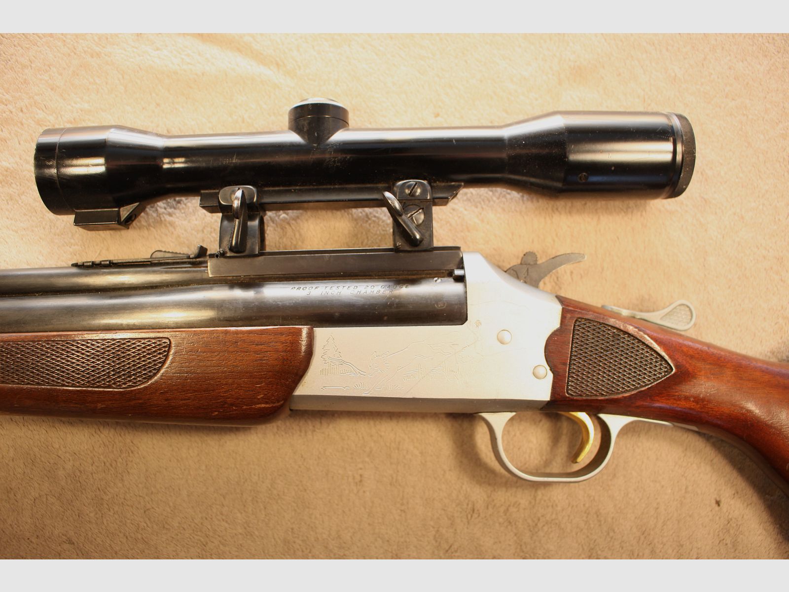 Sachonzeit BBF de Savage.