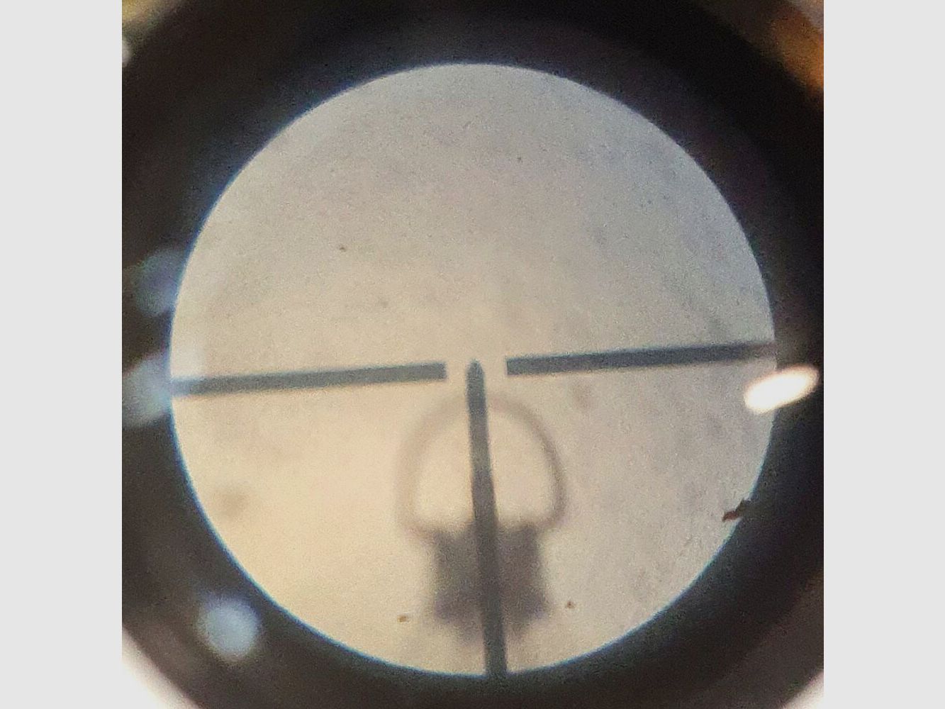 Anschütz single shot