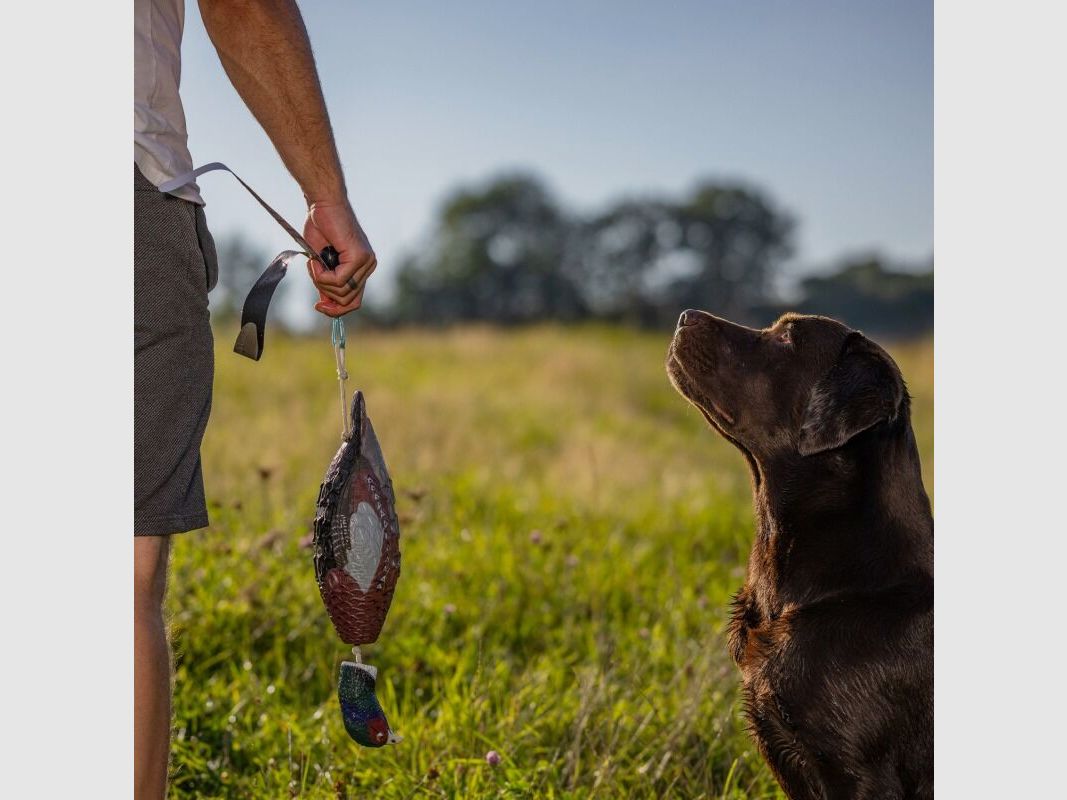 HP&G Apportierdummy Fasan