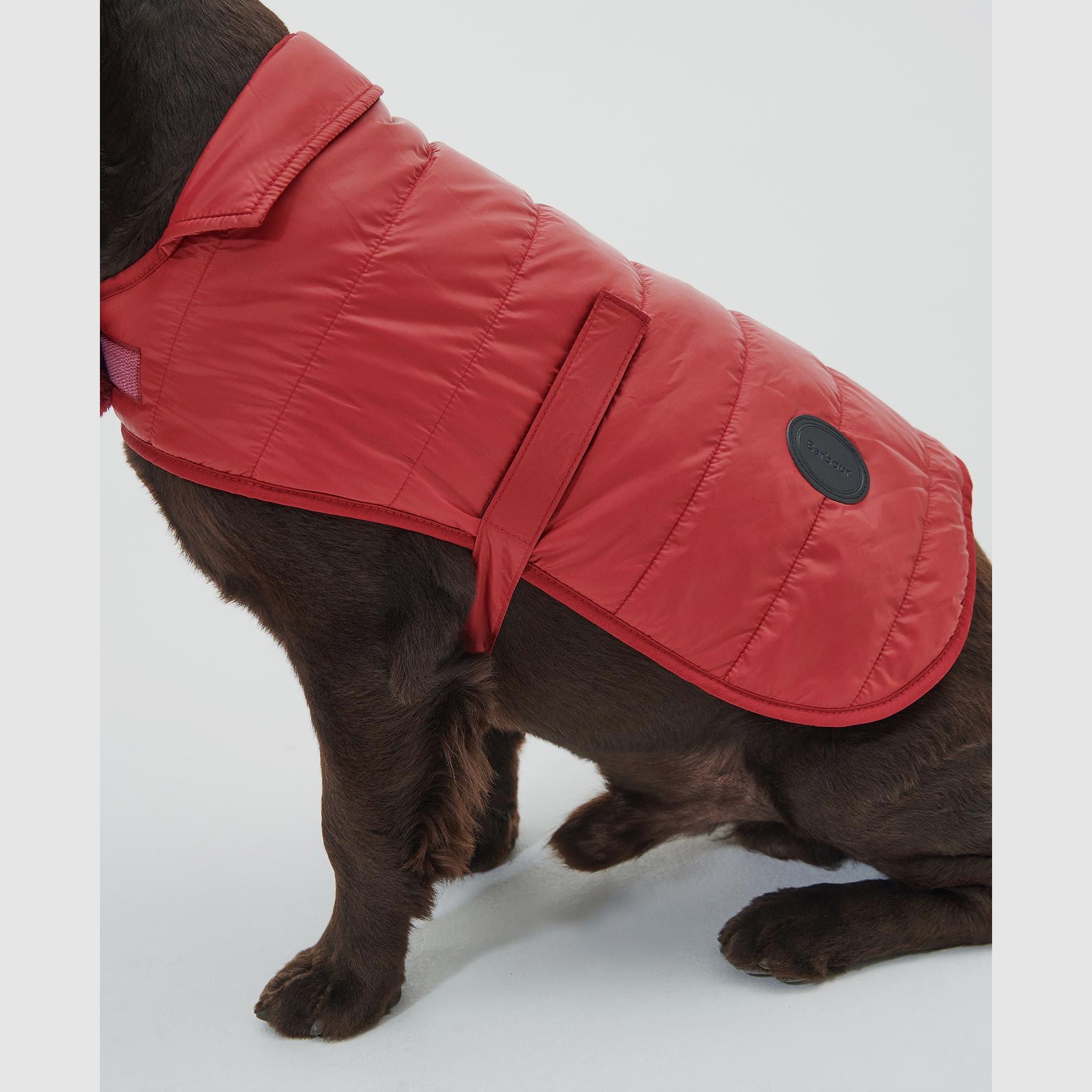 Barbour Hundemantel gesteppt mit Teddy-Futter