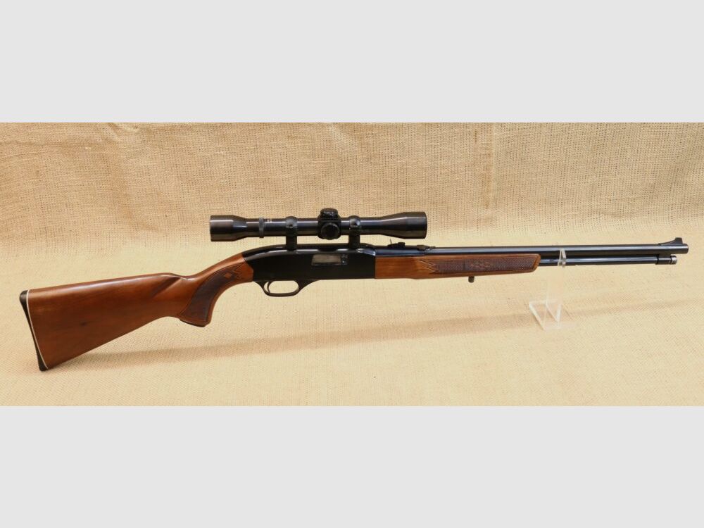 Fucile semiautomatico Winchester 290 .22lr