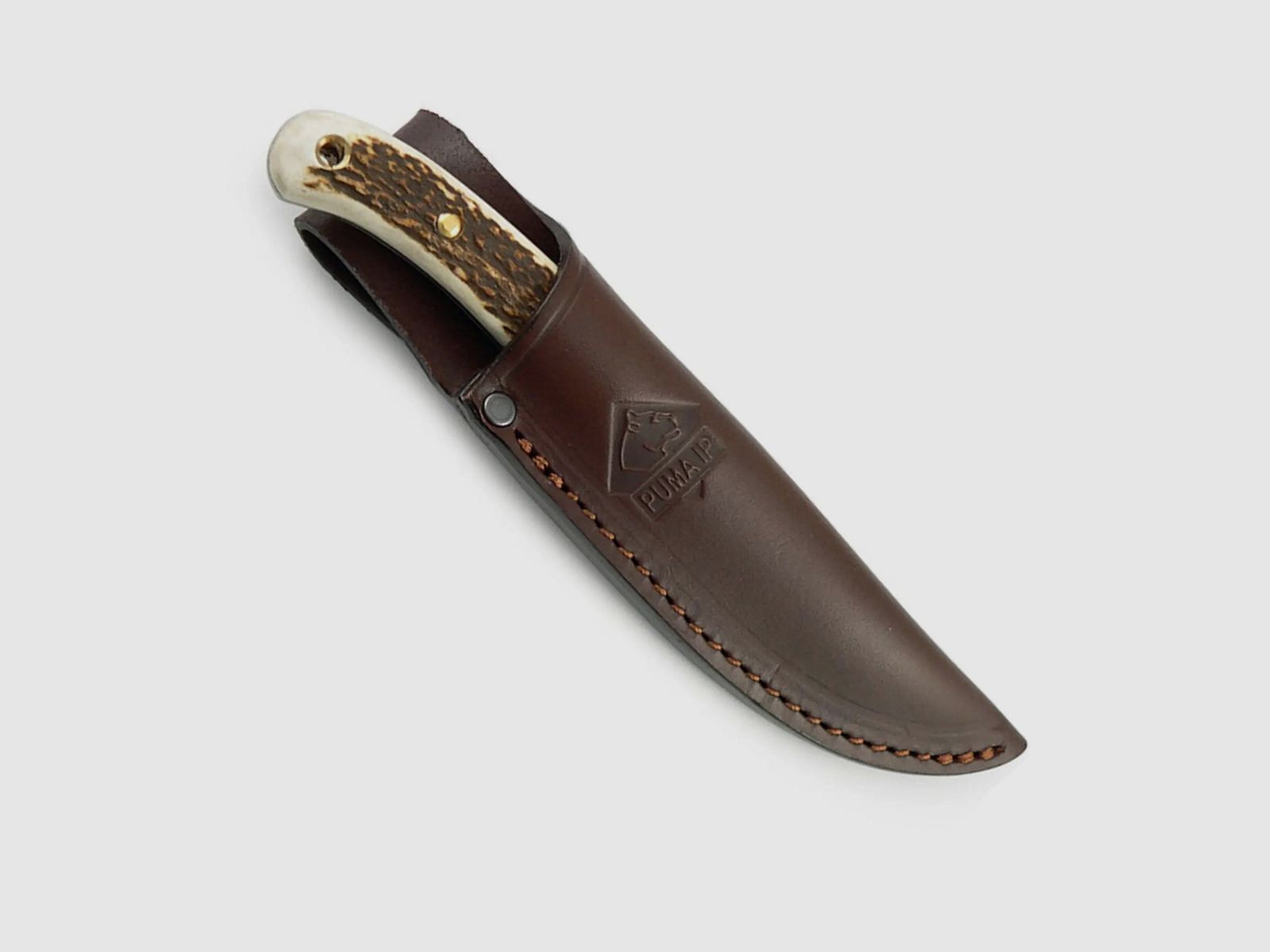 PUMA IP catamount, cervo