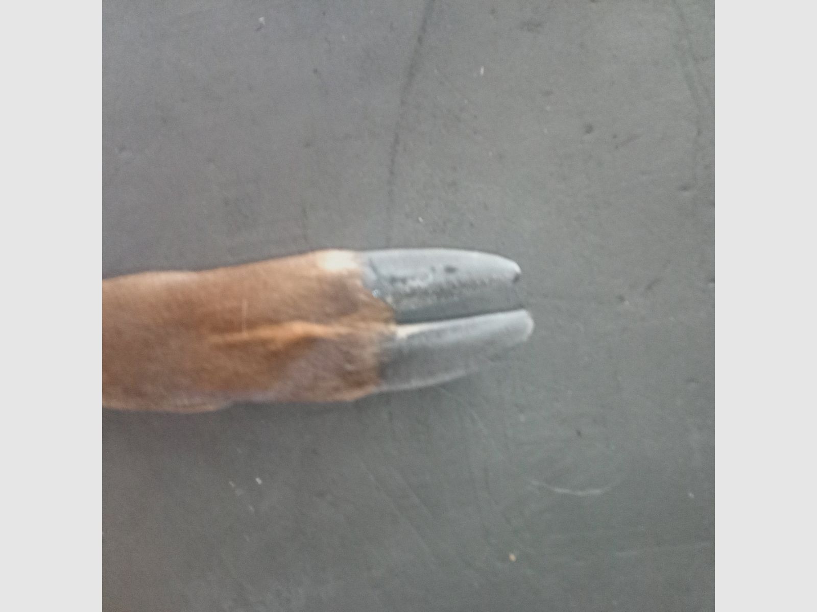 ROTWILDSCHALEN Temporada 2025/2026