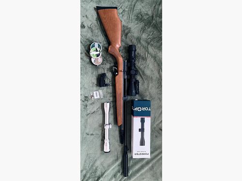 Diana Trailscout Wood Co2 rifle 4.5 mm Diabolo