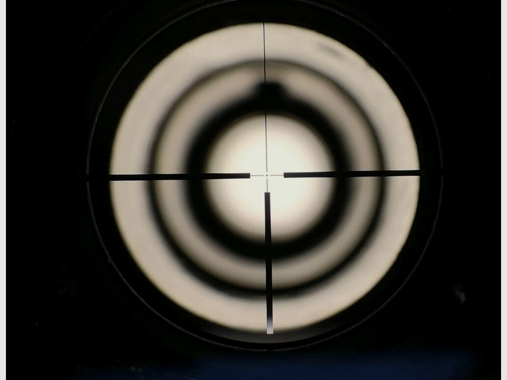 ZBROJOVKA BRNO Mod. 2 m. ZF 3-9x40 en loop