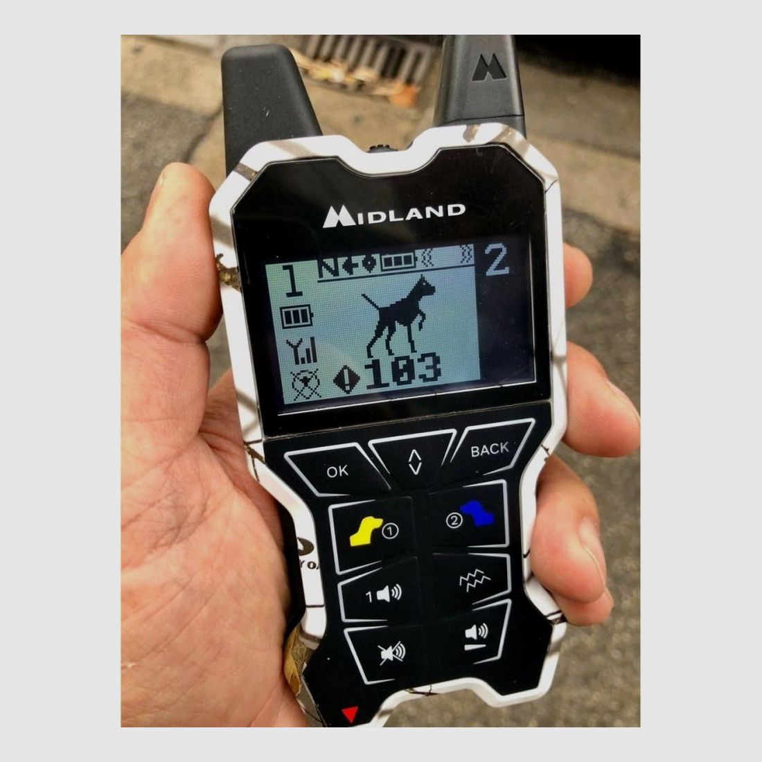 CANICOM Beeper One GPS NOUVEAU, image 3 sur 3