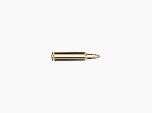 Hornady 223 Rem 50 gr CX® Superformance® – 20 Stk.