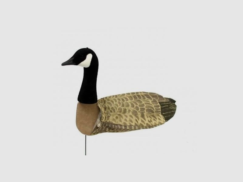 Sillosocks Canada Goose Head Up ganso canadiense mirando 12 uds., imagen 1 de 3
