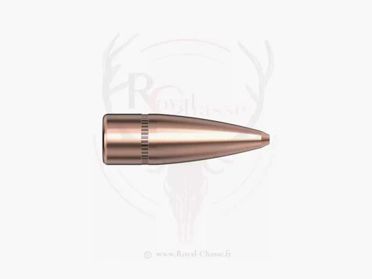 100 ogives Cal.30 D.308 125Grs HP HORNADY