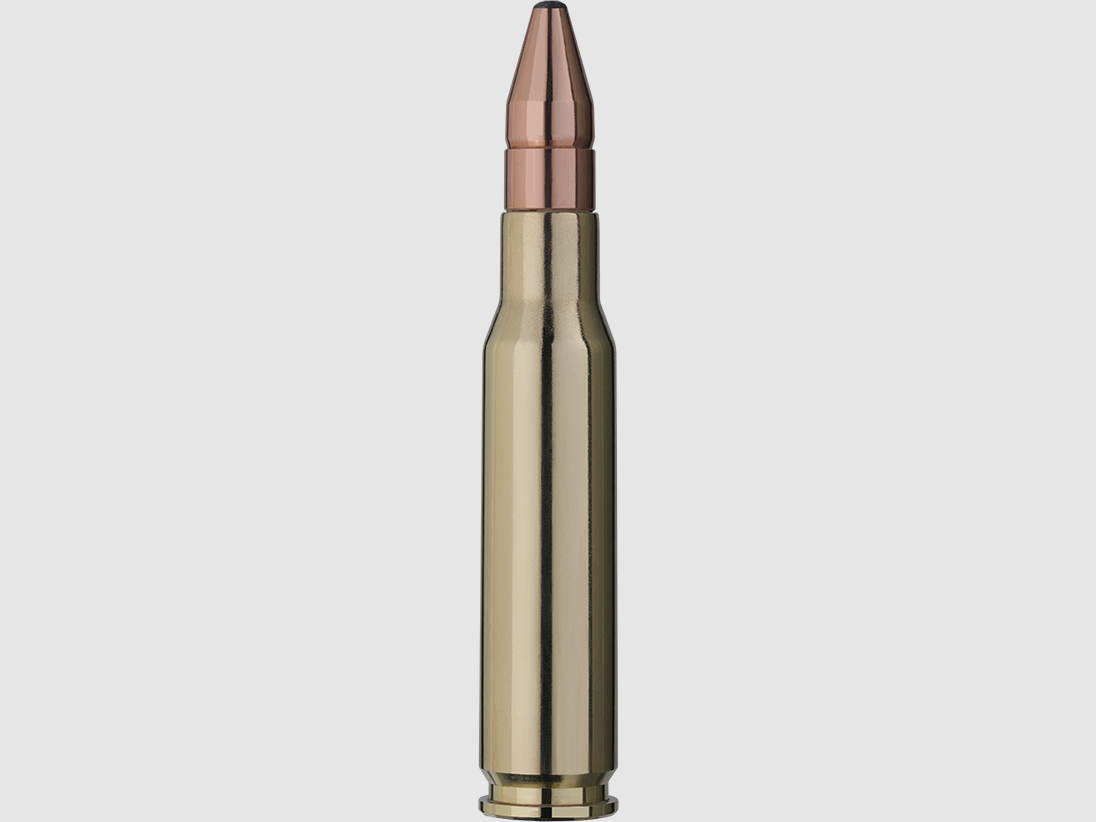 RWS .308 Win. Double cœur 10,7g/165gr, image 2 sur 2