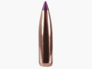 Puntas Cal. 243/6mm-090-Spitzer Nosler Ballistic T