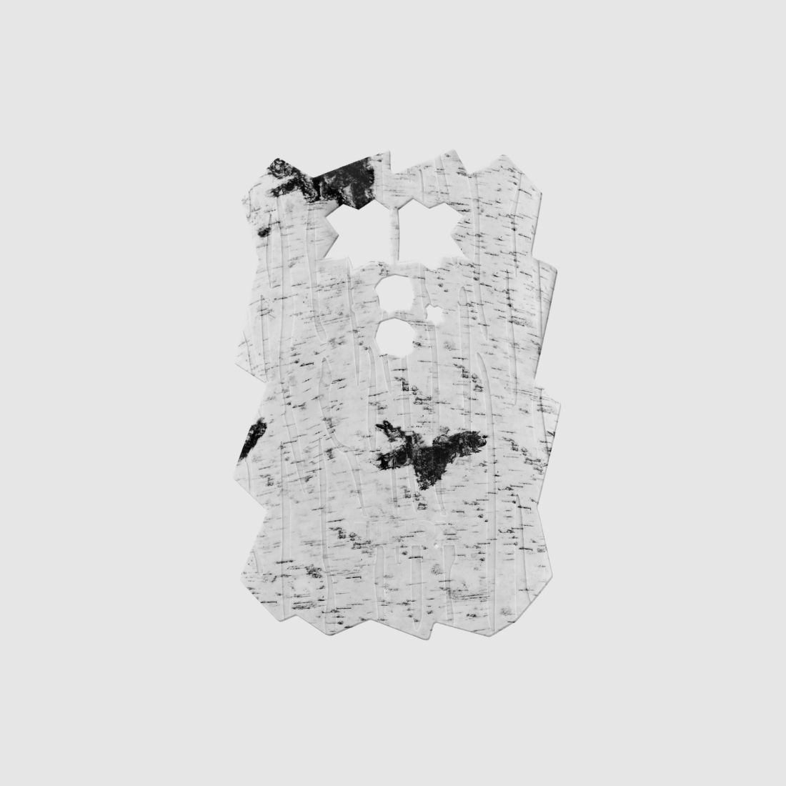 Minox front cover for DTC 460 (birch)