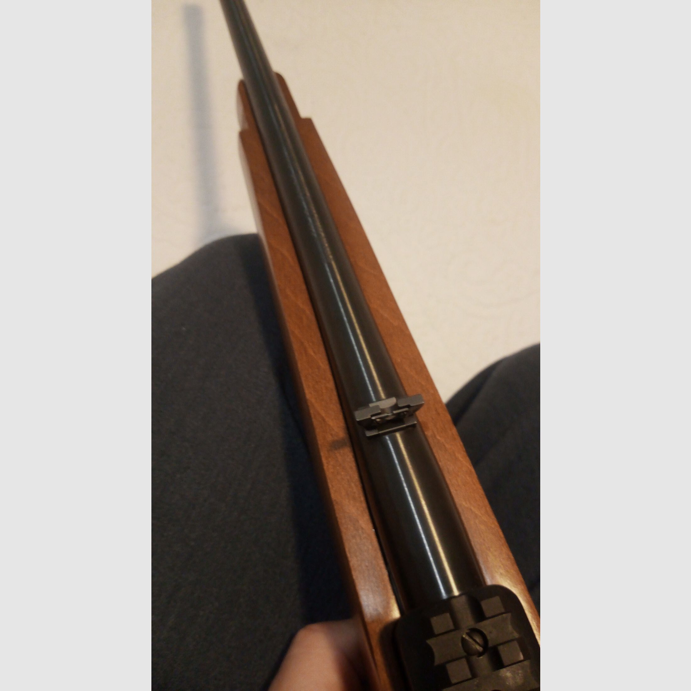 Ruger Carbine 10/22 in .22 lfB gebraucht