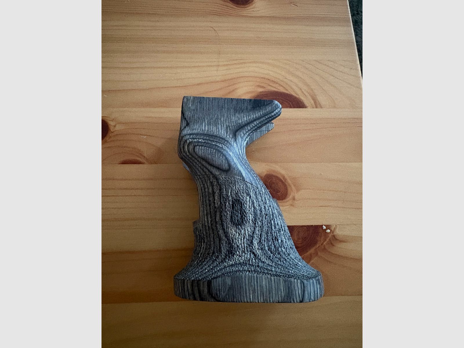 HW45 Griff und Holster
