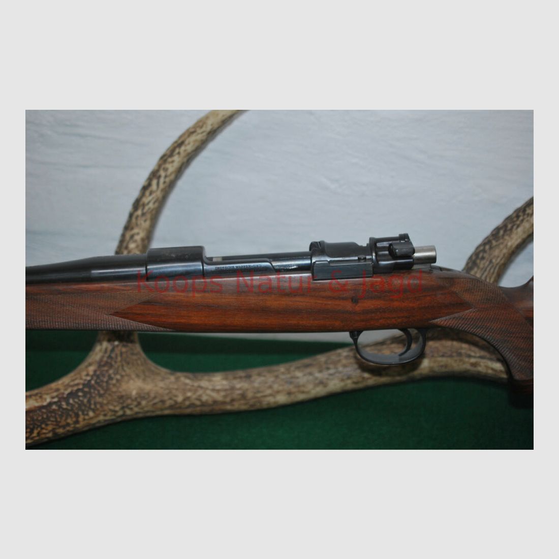 Klaus Koops 98 Système DWM