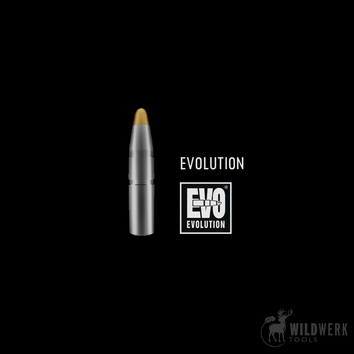 RWS Evolution