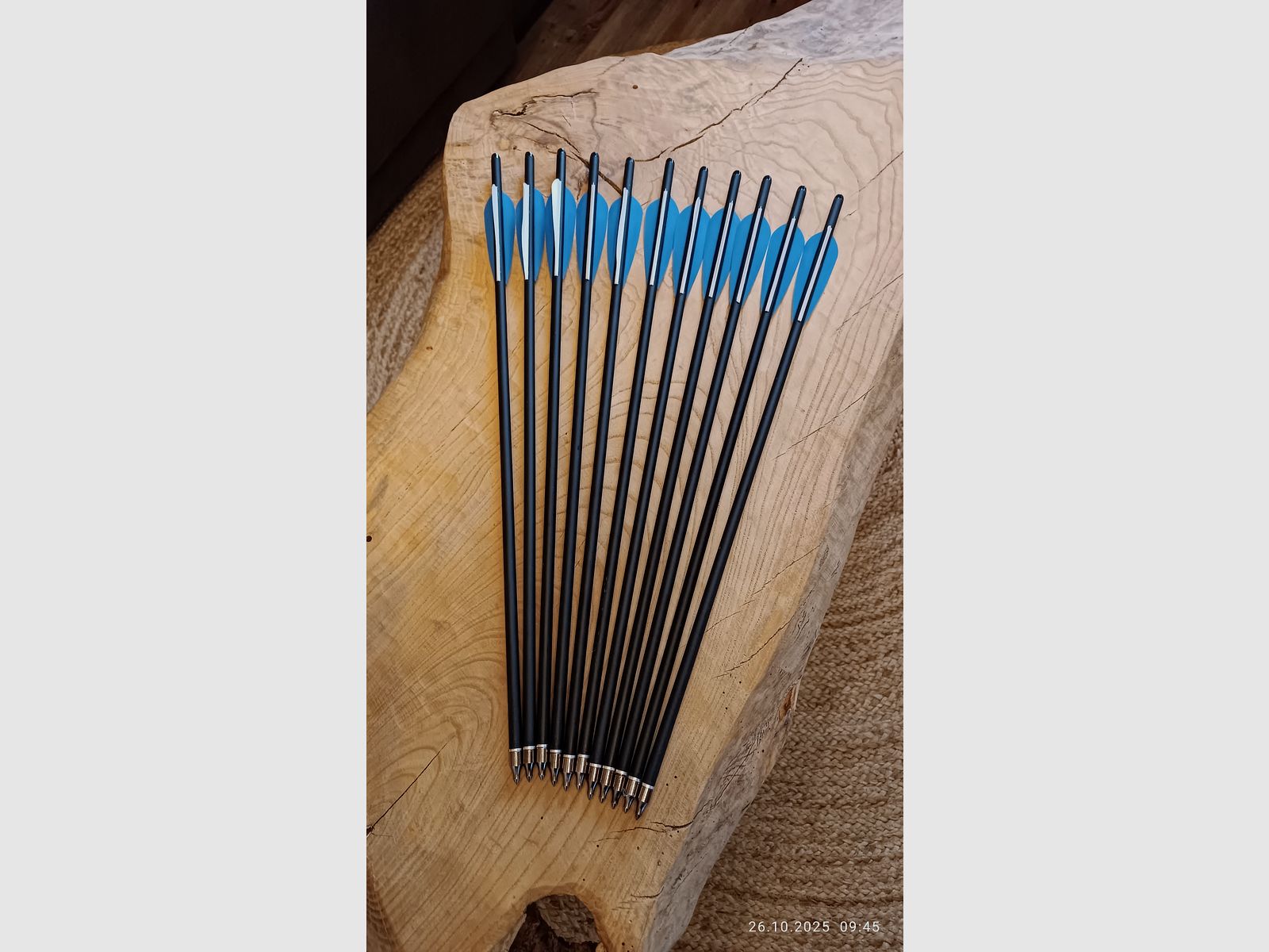 Armbrustbolzen 20 Zoll Carbon Halbmondnocke