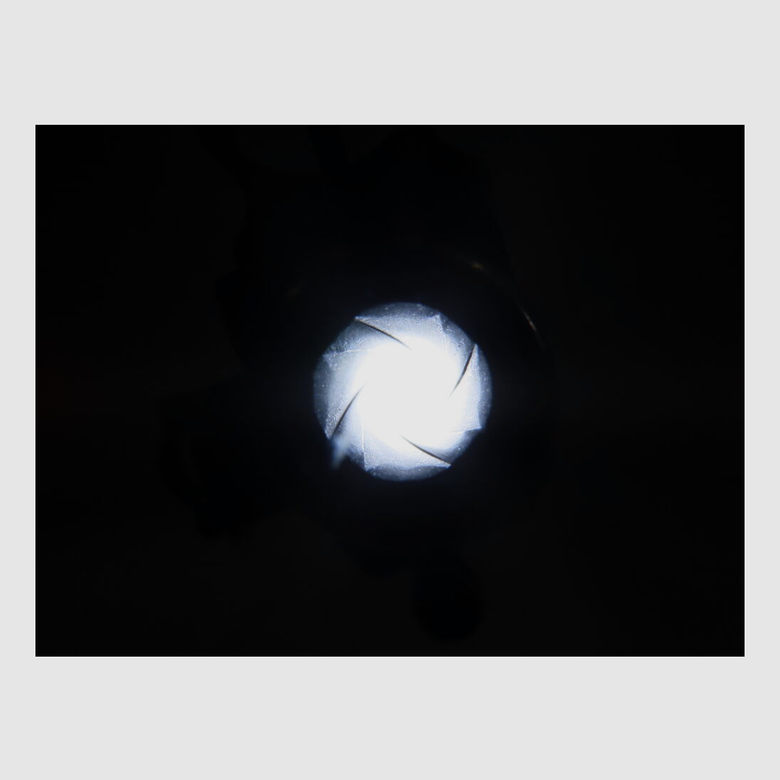 Mosin Nagant M44 mit Top Lauf!