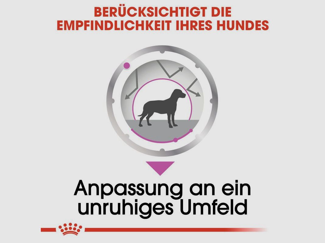ROYAL CANIN Nassfutter Relax Care für Hunde in unruhigem Umfeld 12x85 g