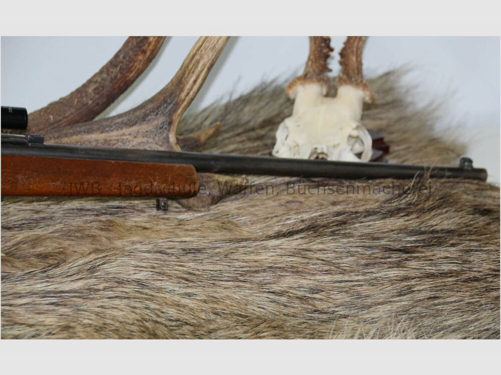 Anschütz 1400 .22lr