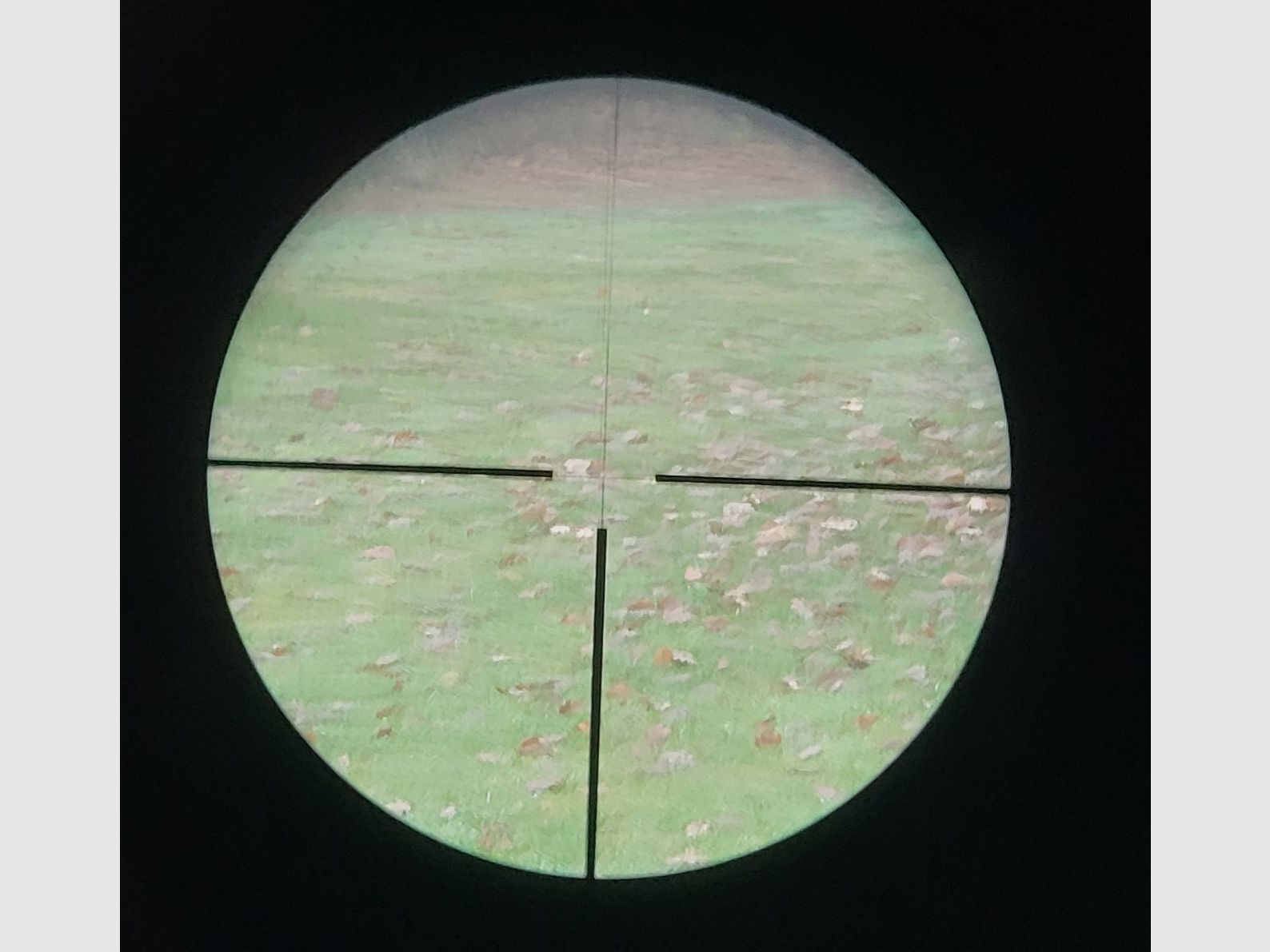 Meopta Meostar R1 3-12 x 56 RD mit Leuchtpunkt und Schwenkmontage