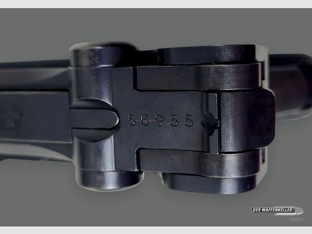 Fábrica de armas de Berna (W+F) 06/29 1929