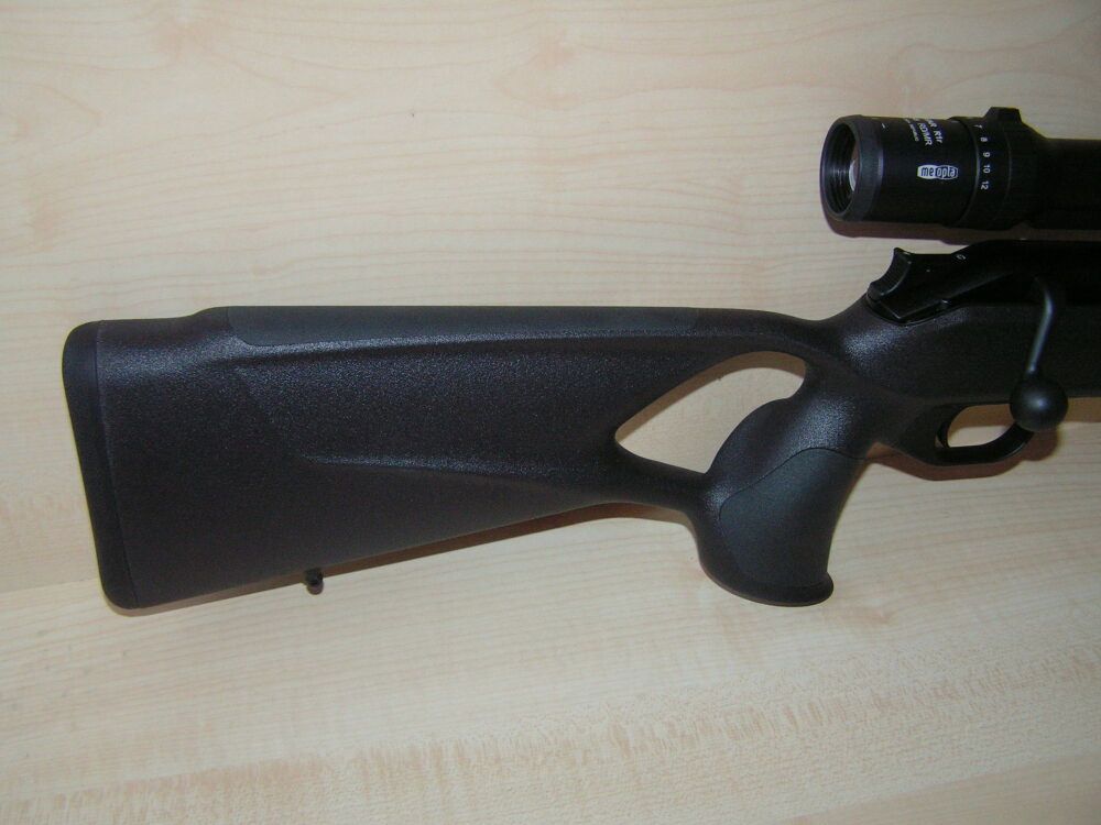 Blaser Professional Success