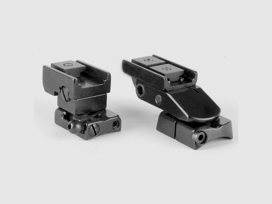 EAW Montaggio Pivotante Rail SR