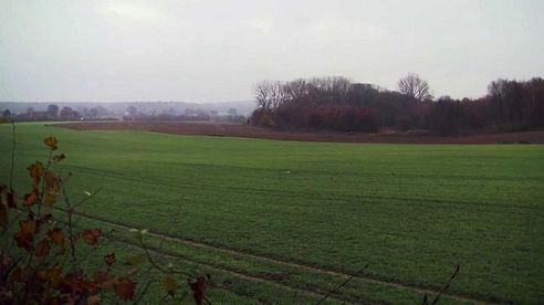 Mit mir im Revier- Morgenansitz auf Fuchs und Rehwild