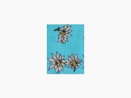 Luise Steiner bandana edelweiss turchese