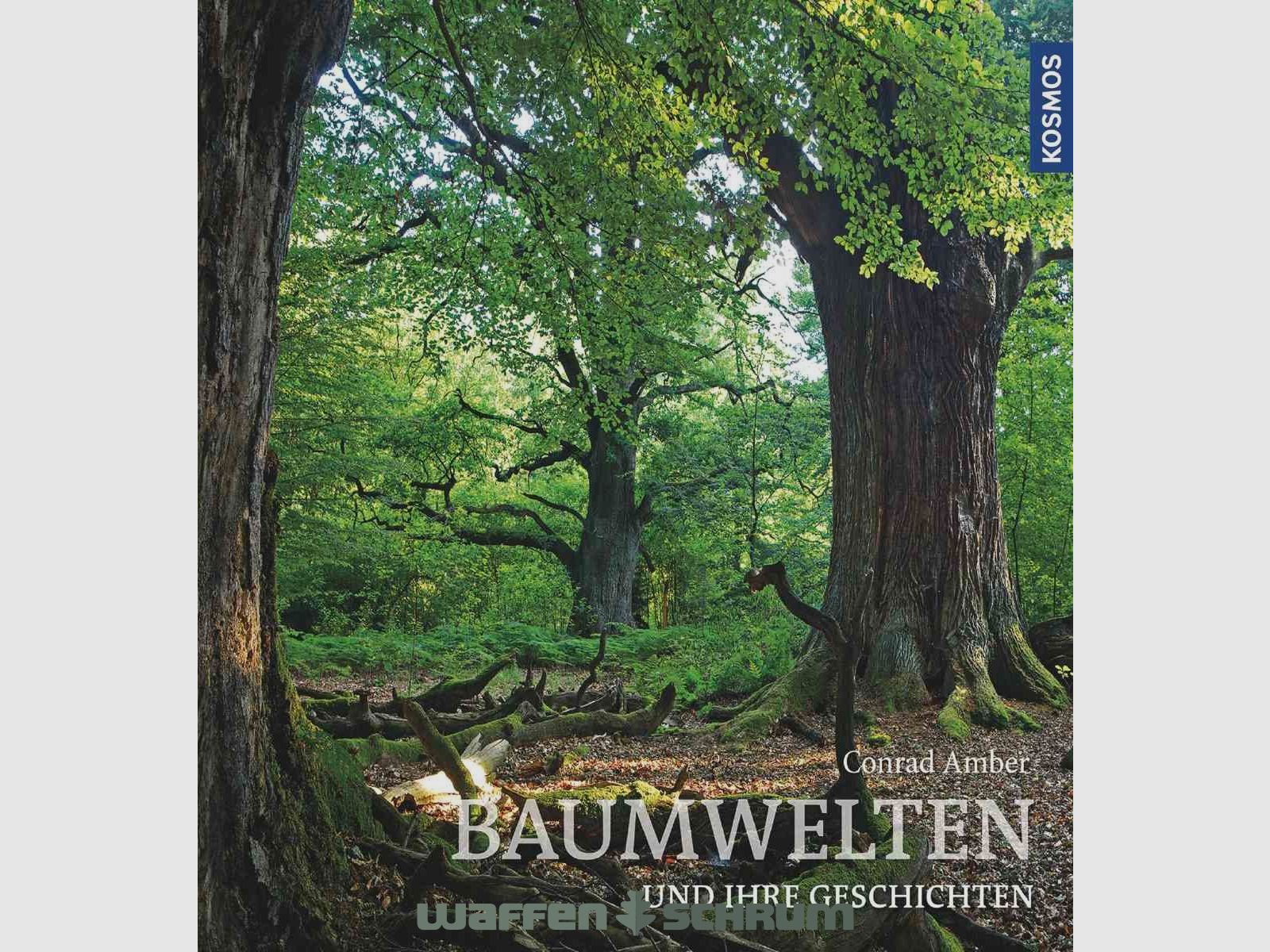 Kosmos Baumwelten Conrad Amber