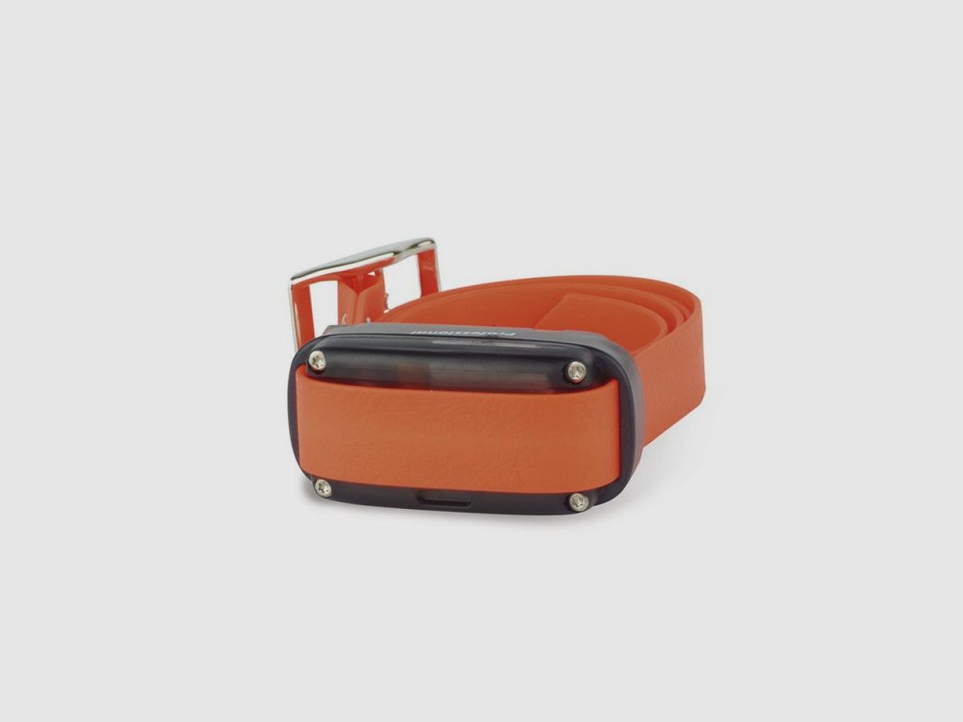 Collare aggiuntivo Dogtrace Professional One, immagine 2 di 2