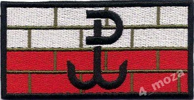 Parche Bandera de la Polonia Combatiente con cierre de velcro 100x50 mm 173R