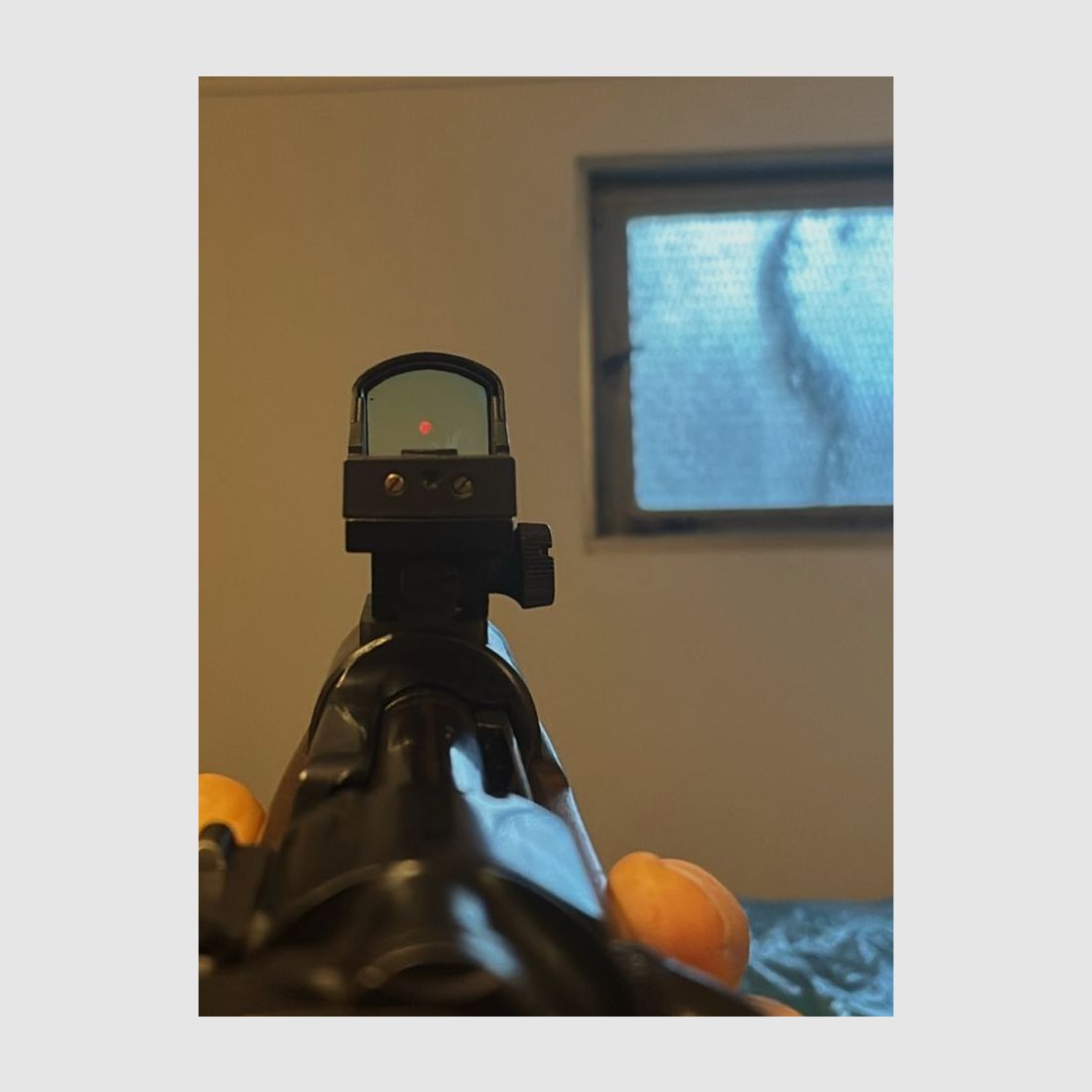 K98 mit DJ Visier 8x57IS