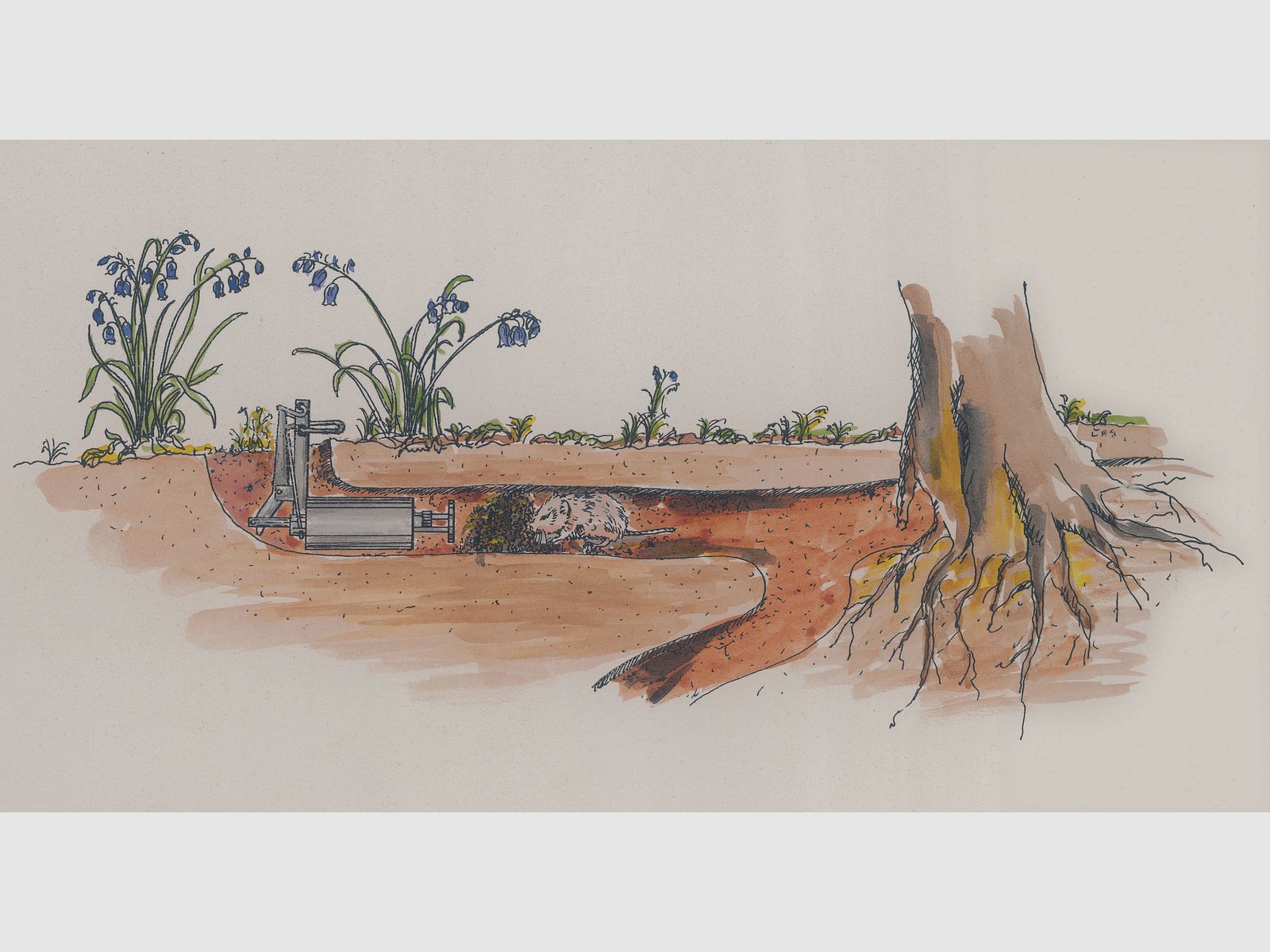 Set completo di trappole per talpe Mod. W2