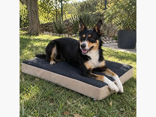 Matelas à mémoire de forme pour chien 3 tailles