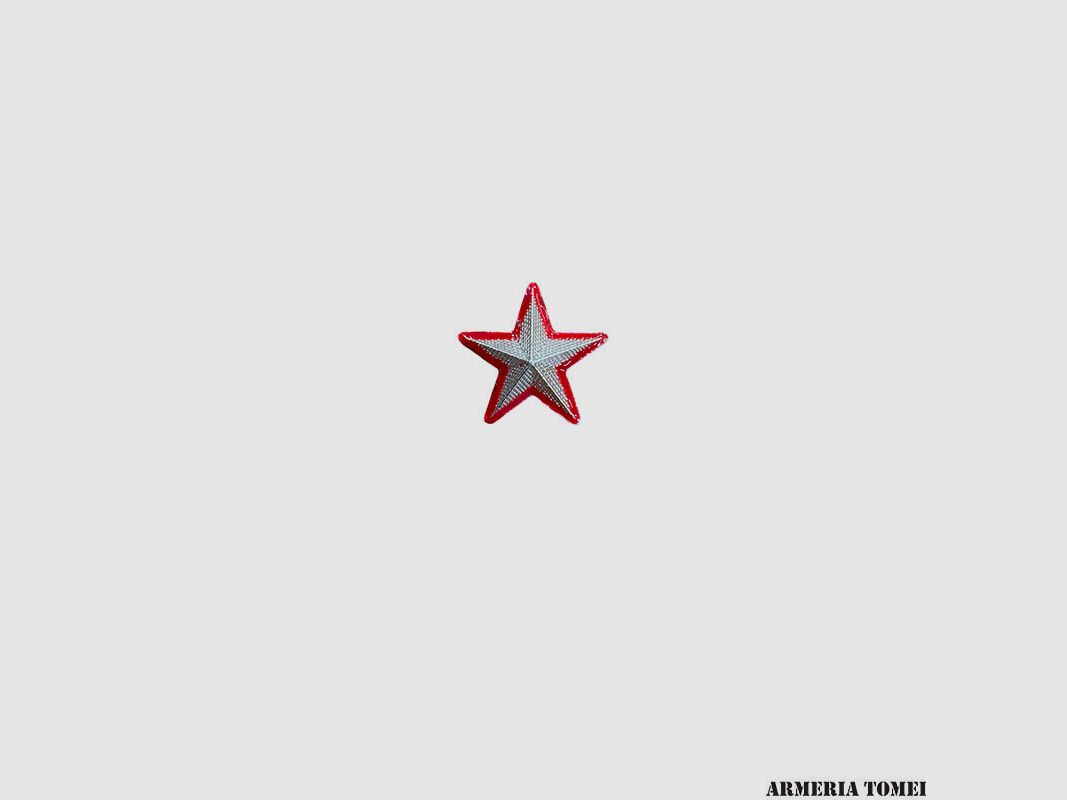STELLA METALLO GRADO ARGENTO BORDATA ROSSA