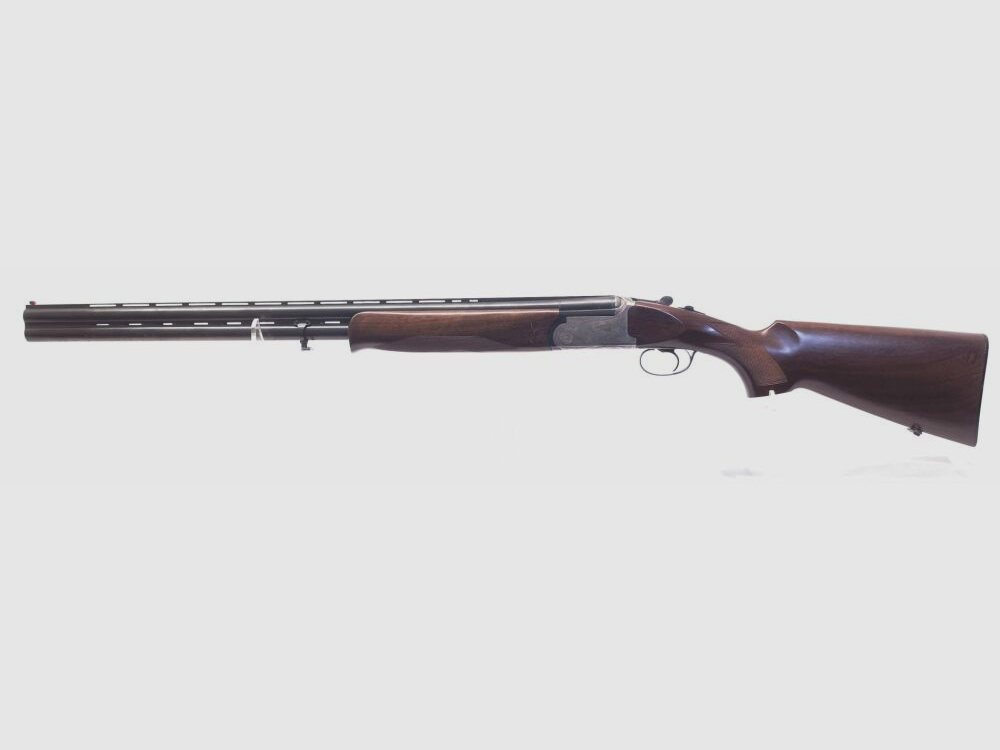 Rizzini AT 605