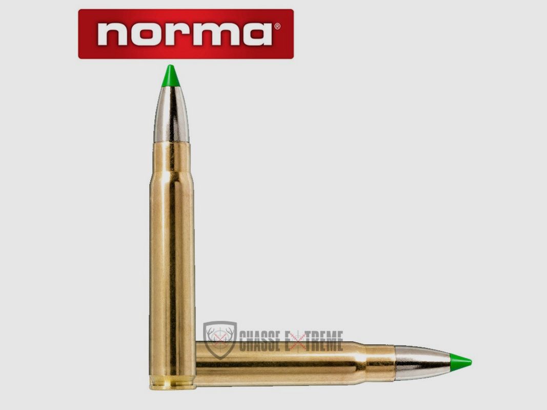 20 Cartuchos NORMA Cal. 9.3x62 250Gr Ecostrike