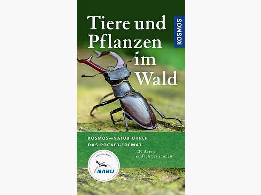 TIERE UND PFLANZEN IM WALD - 120 ARTEN
