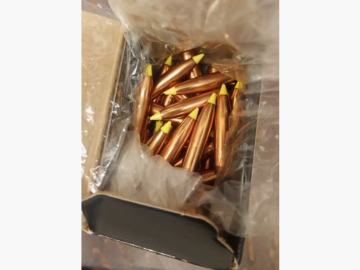 Nosler Geschoss Ballistic Tip